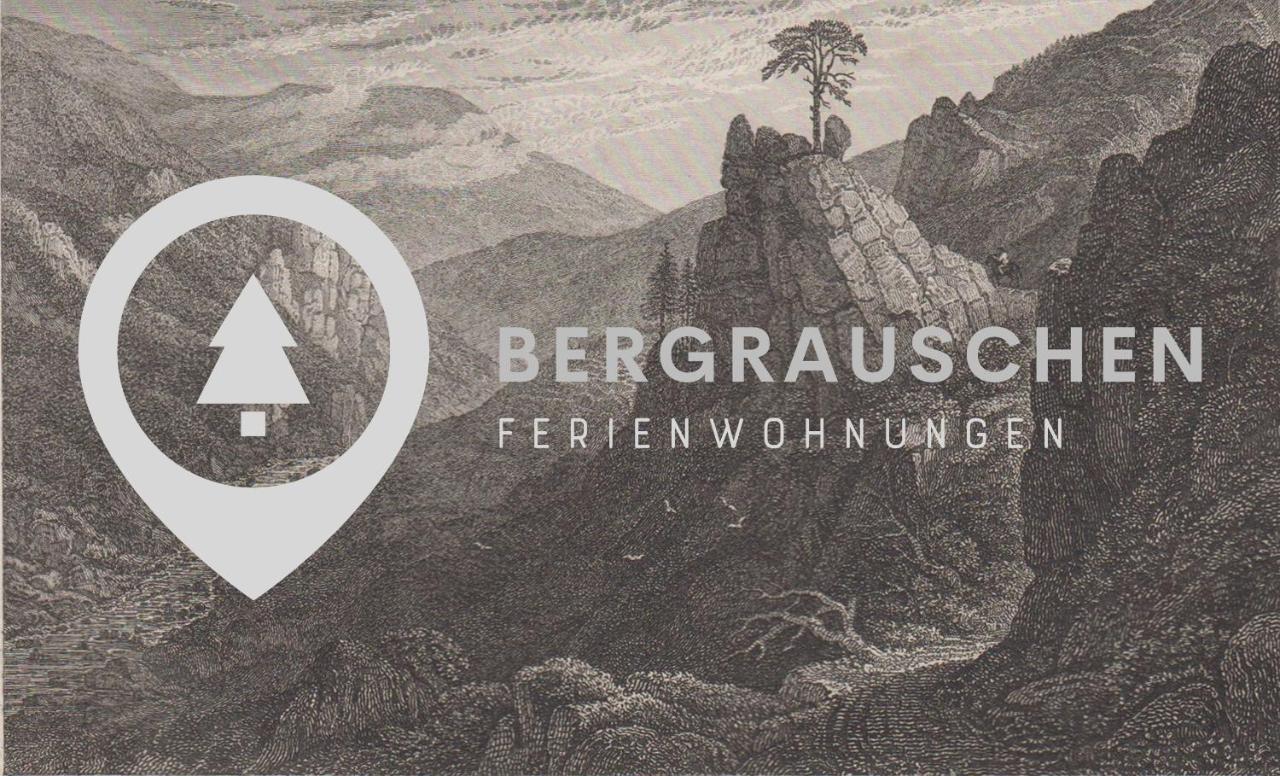 דירות גוסלר Bergrauschen - Waldloft - Preise Inklusive Waesche מראה חיצוני תמונה
